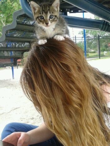 rencontre-Teen-La Seyne-sur-Mer